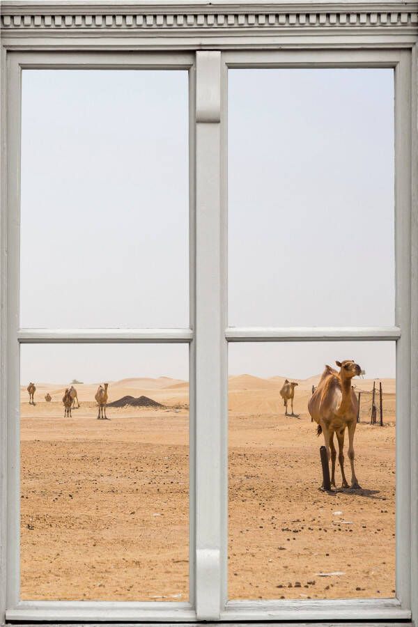 Queence Wandfolie Woestijn met kamelen - Foto 3