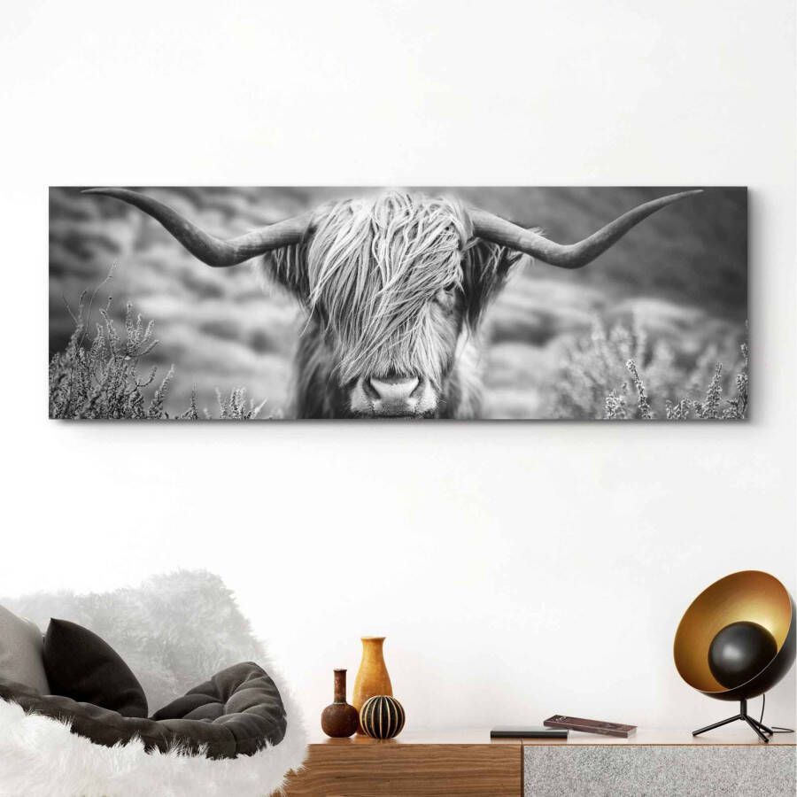 Reinders! Artprint Highlander stier diermotief close-up Schotse hooglander beeld - Foto 4