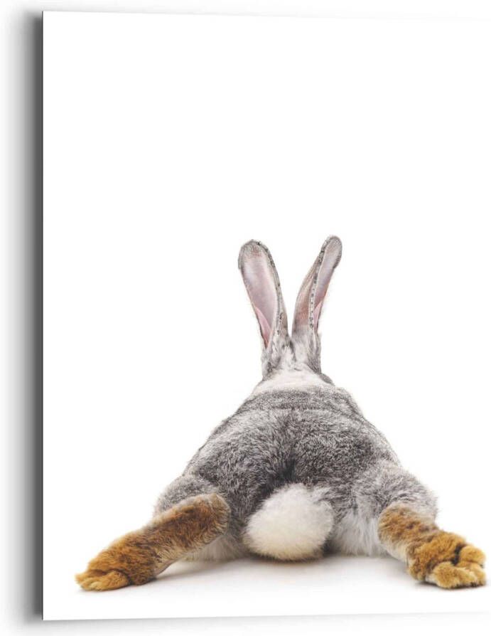 Reinders! Artprint konijn rabbit haas staart relax