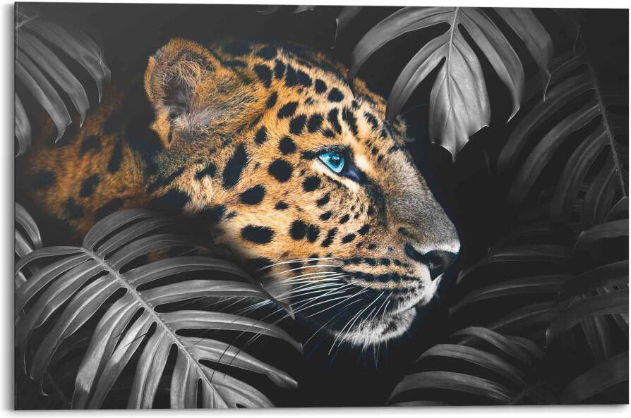 Reinders! Artprint luipaard Jungle plant diermotief - Foto 5