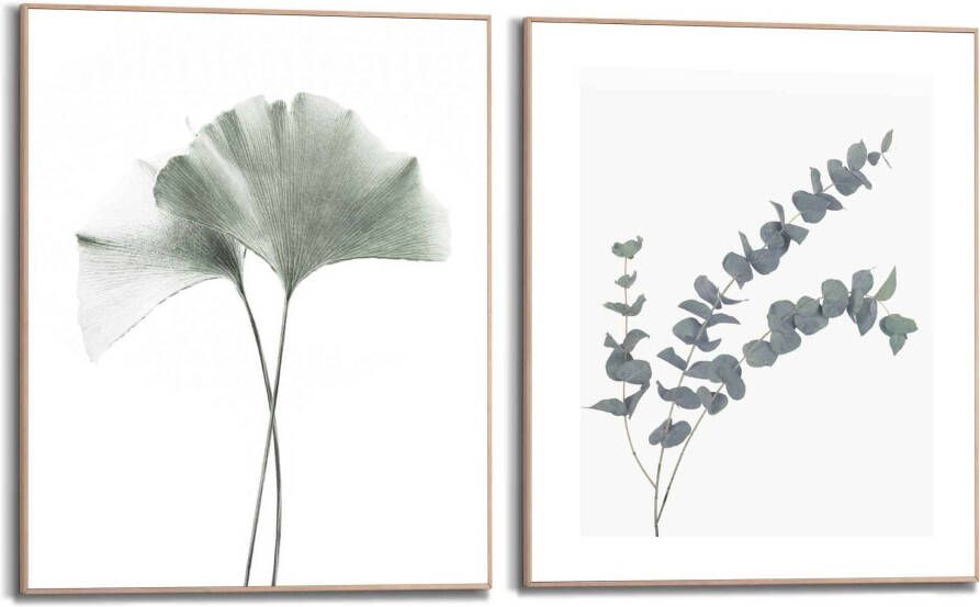 Reinders! Artprint met lijst Eucalyptusblad plant Ginko natuurmotief botanisch (2-delig) - Foto 4