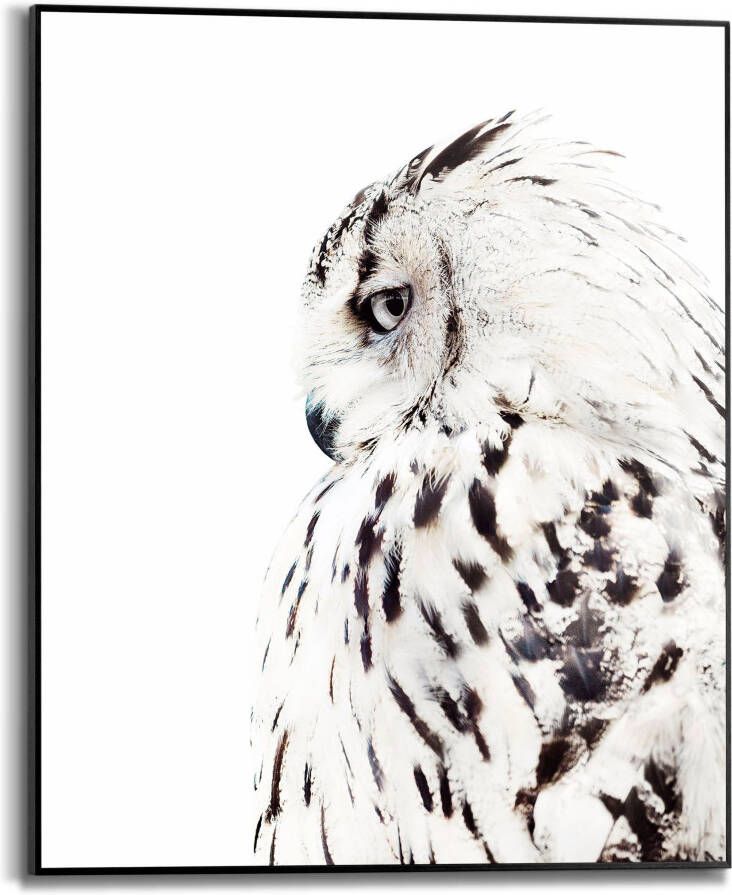 Reinders! Artprint met lijst White Owl - Foto 5