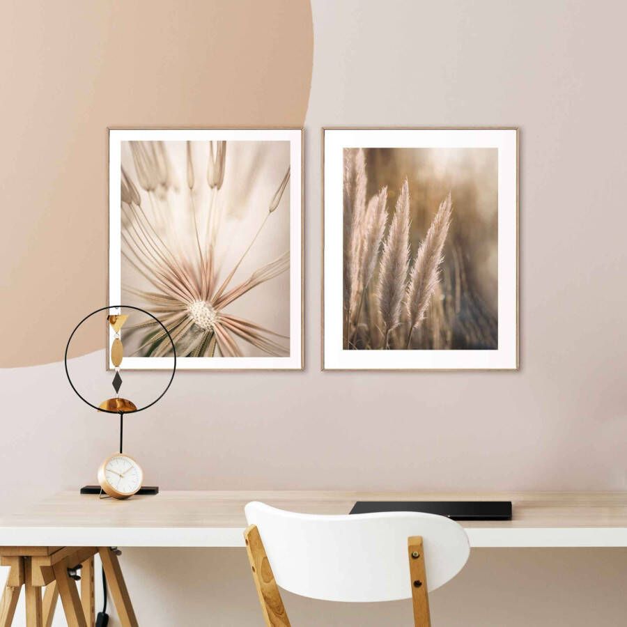 Reinders! Artprint Natuur botanisch pampa paardenbloem close-up (2-delig)