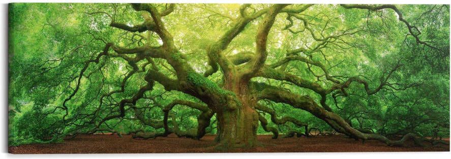Reinders! Artprint op hout Deco-block 40x118 Old Oak - Foto 2