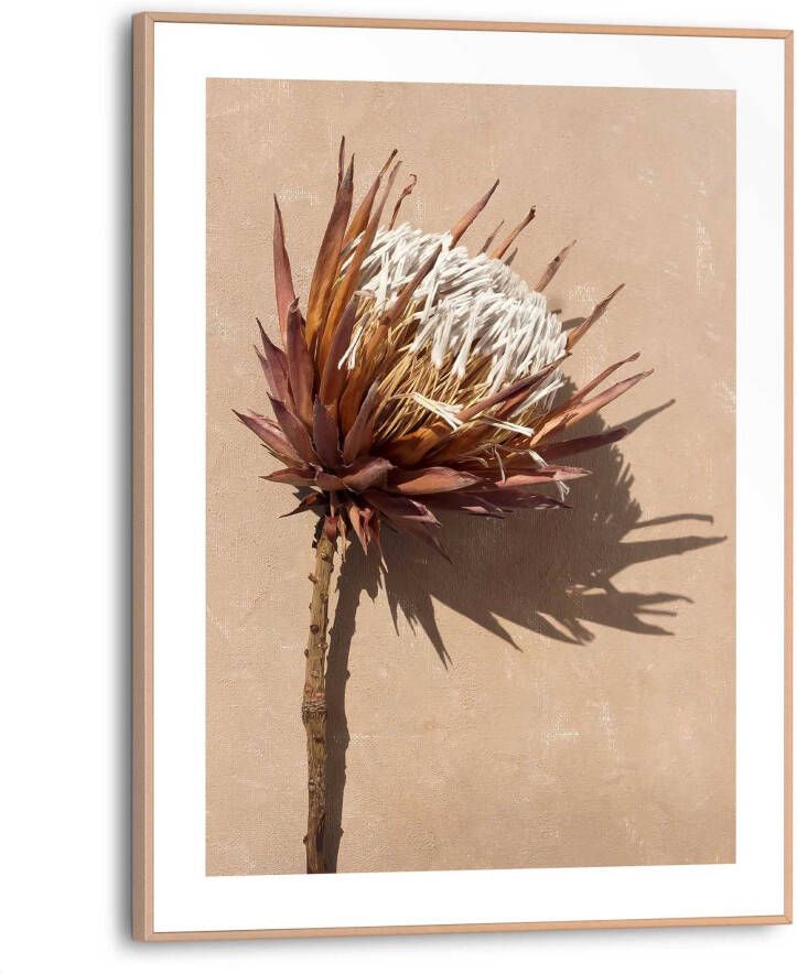 Reinders! Artprint Protea Blume