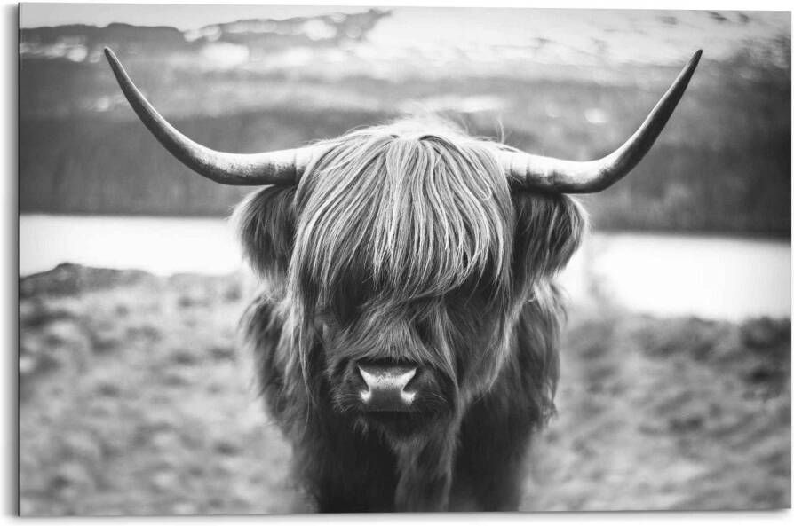 Reinders! Artprint Schotse hooglander stier hoorns hoogvlakte - Foto 4