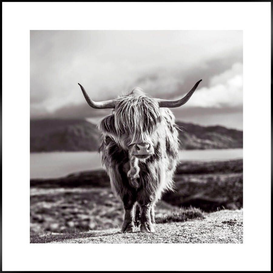 Reinders! Artprint Slim Frame Black 50x50 Highland Cow - Foto 6