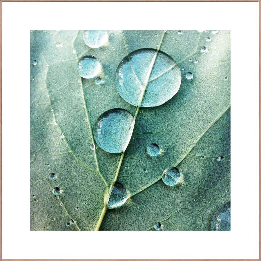 Reinders! Artprint Slim Frame Wood 50x50 Dew Drops