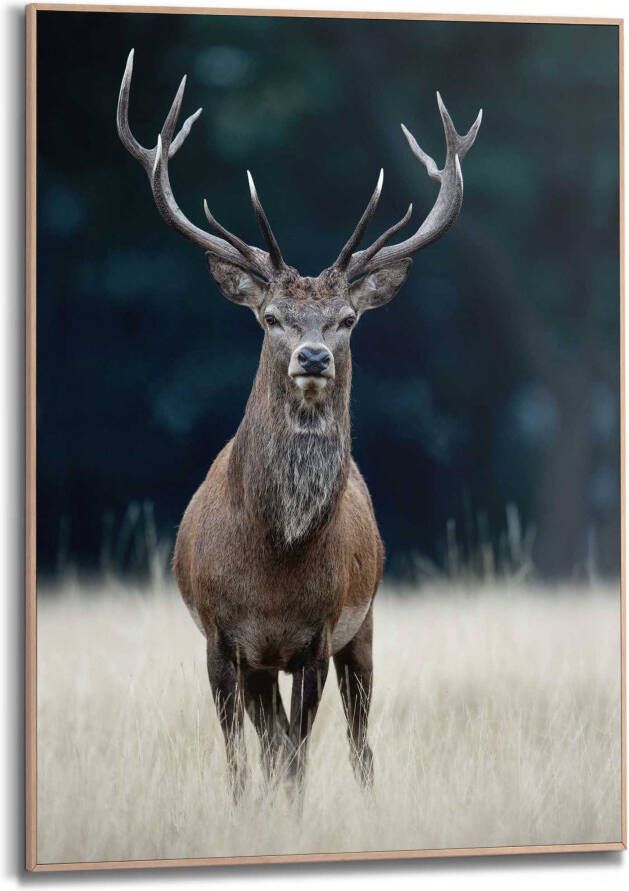 Reinders! Artprint Slim Frame Wood 50x70 Deer - Foto 2