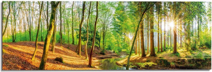 Home24 Afbeelding Zonnig Bos Reinders - Foto 4