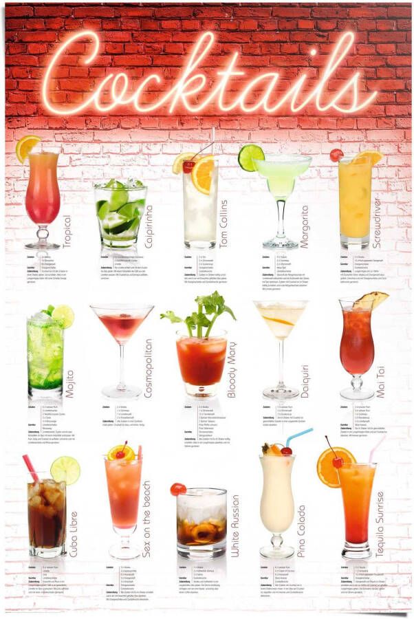 Reinders! Poster Cocktails recepten - Foto 2