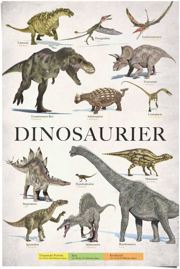 Reinders! Poster Dinosaurus - Foto 2