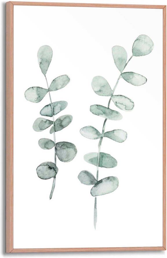 Leen Bakker Poster met lijst Eucalypthus Slinger 30x20 cm