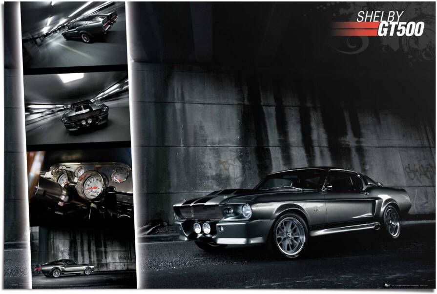 Reinders! Poster Ford Easton Mustang GT500 - Foto 2
