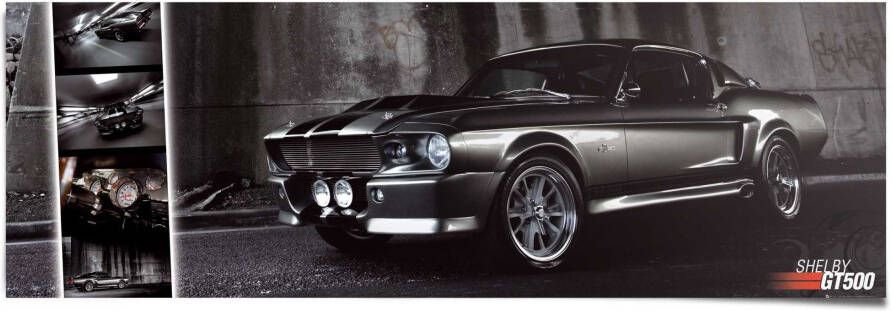 Reinders! Poster Ford Easton Mustang GT500 - Foto 2