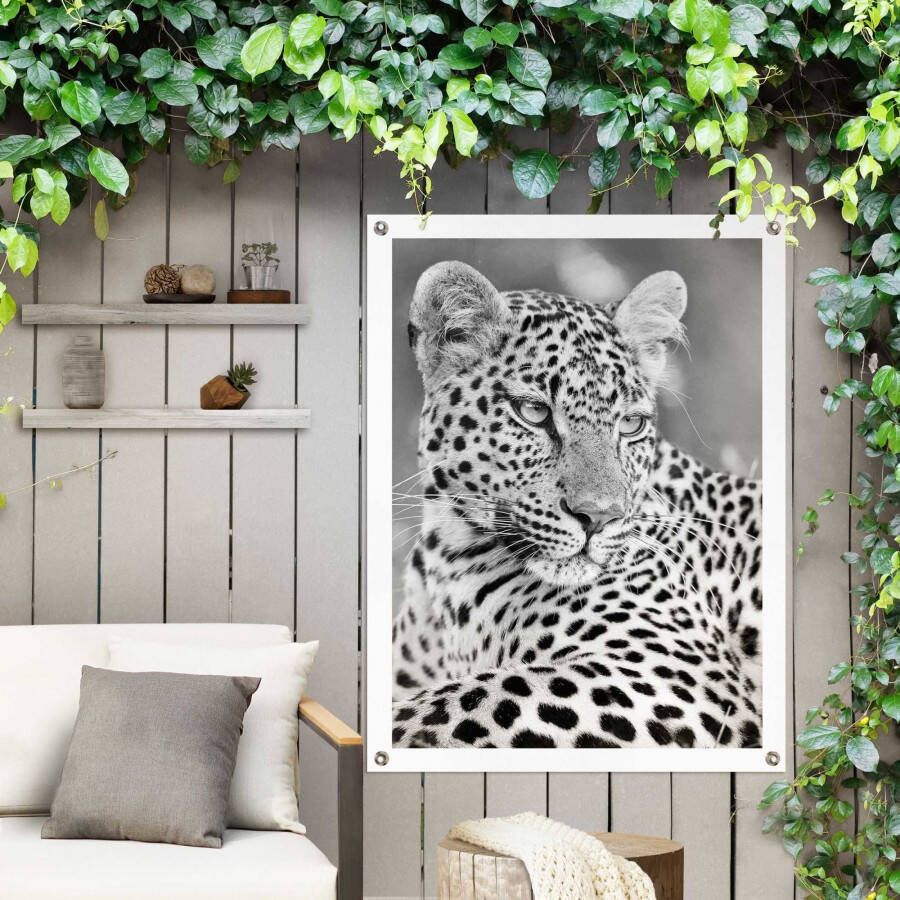 Reinders! Poster Leopard - Foto 3