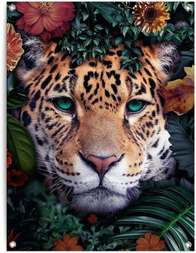 Reinders! Poster Leopard - Foto 4