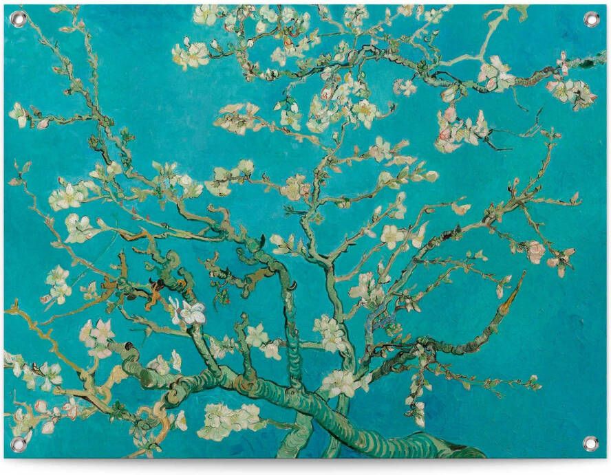 Reinders! Poster Mandelblüte Vincent van Gogh - Foto 4
