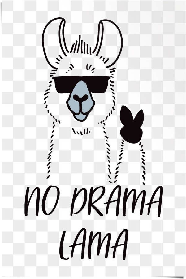 Reinders! Poster No Drama Lama - Foto 2