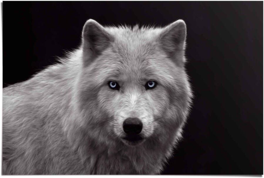 Reinders! Poster Witte wolf - Foto 2