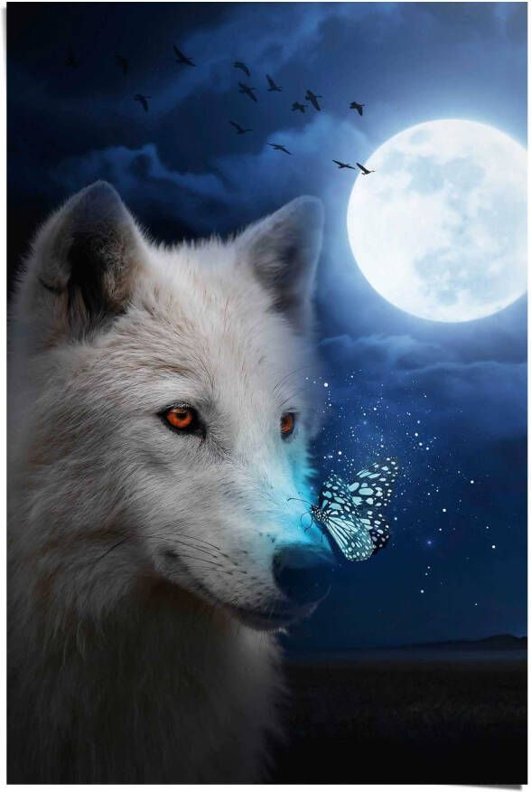 Reinders! Poster Witte wolf - Foto 2