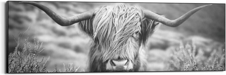 Reinders! Artprint Highlander stier - Foto 3