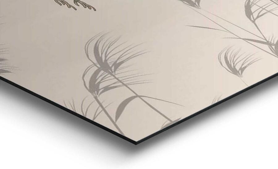 Home24 Afbeelding Sibirischer Tiger Gestreept Reinders - Foto 2