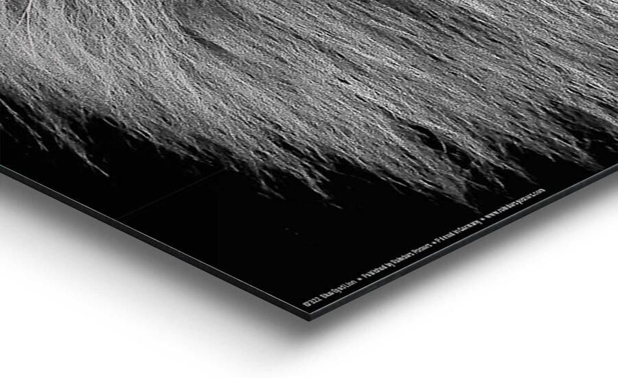 Reinders! Artprint Leeuw met blauwe ogen - Foto 4