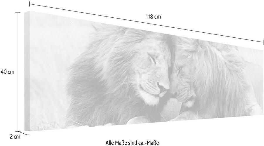 Home24 Afbeelding Liefde Leeuw Reinders - Foto 3