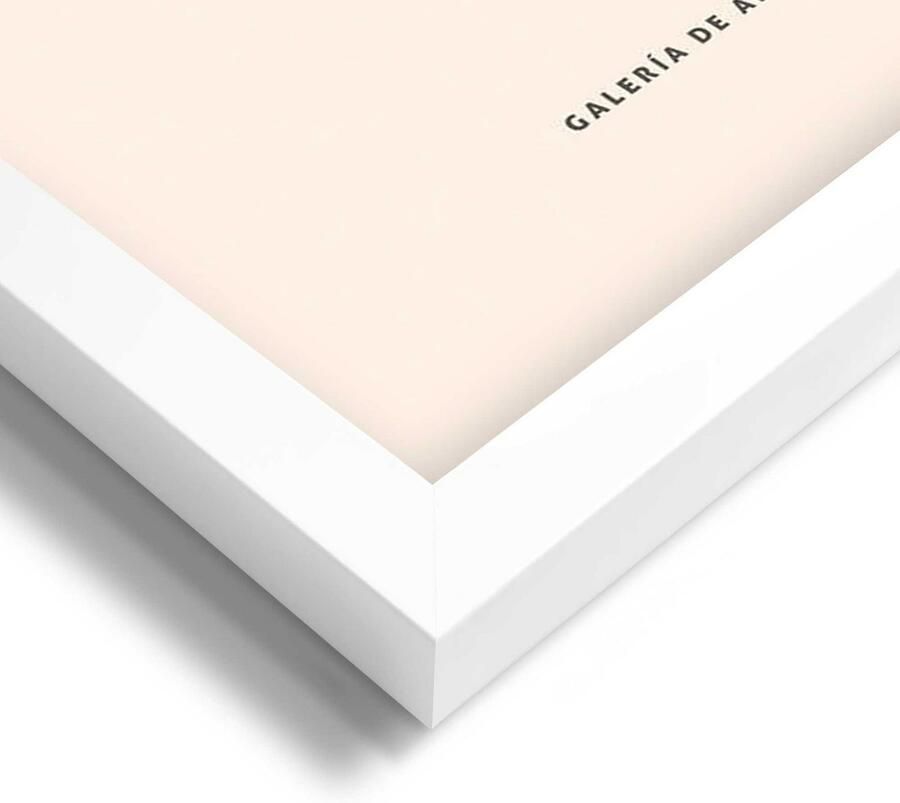 Reinders! Artprint met lijst Bloemen (set) - Foto 2