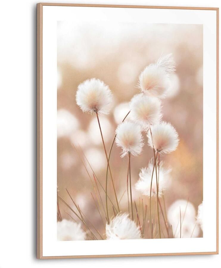 Reinders! Artprint met lijst Cotton Pops - Foto 2