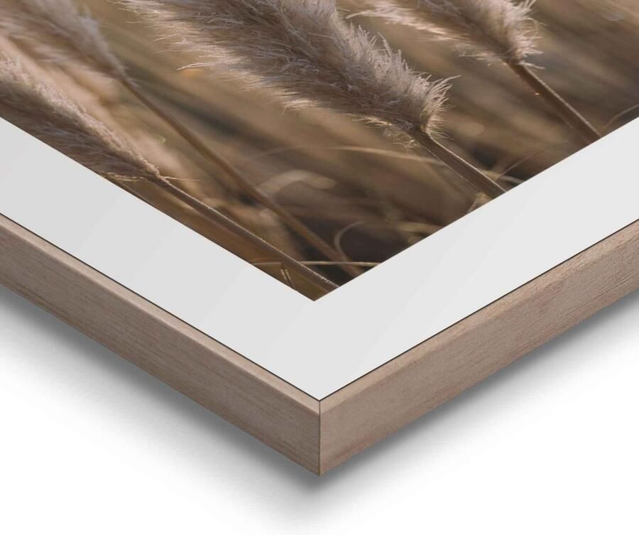 Reinders! Artprint Natuur botanisch pampa paardenbloem close-up (2-delig) - Foto 2