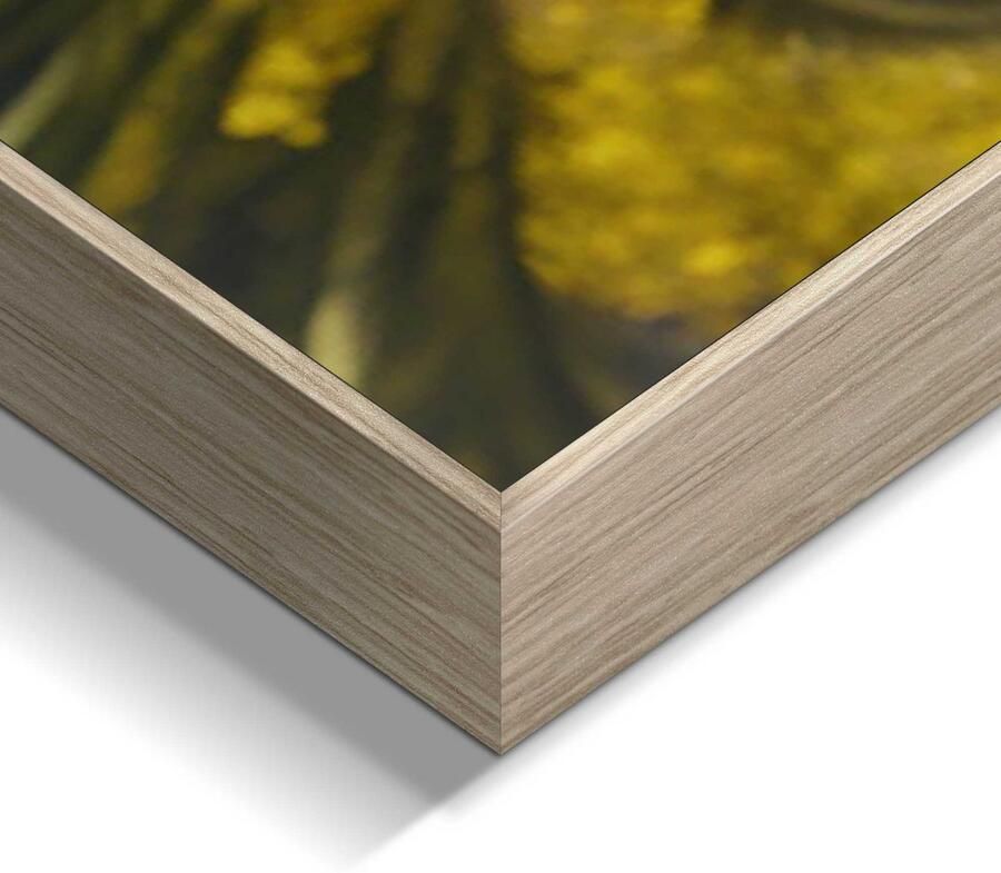 Reinders! Artprint Oldtimer Safari