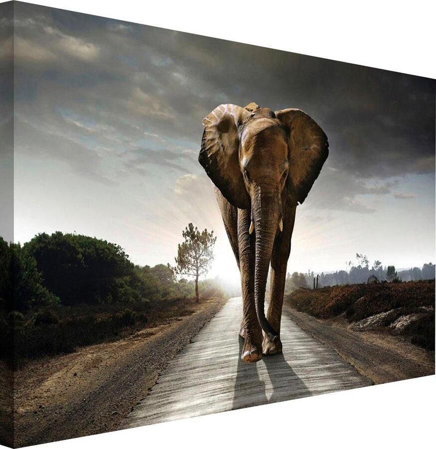 Home24 Afbeelding Olifant II Reinders - Foto 3