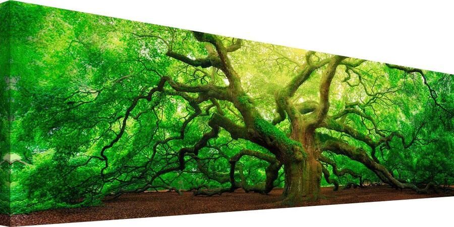 Reinders! Artprint op hout Deco-block 40x118 Old Oak - Foto 5