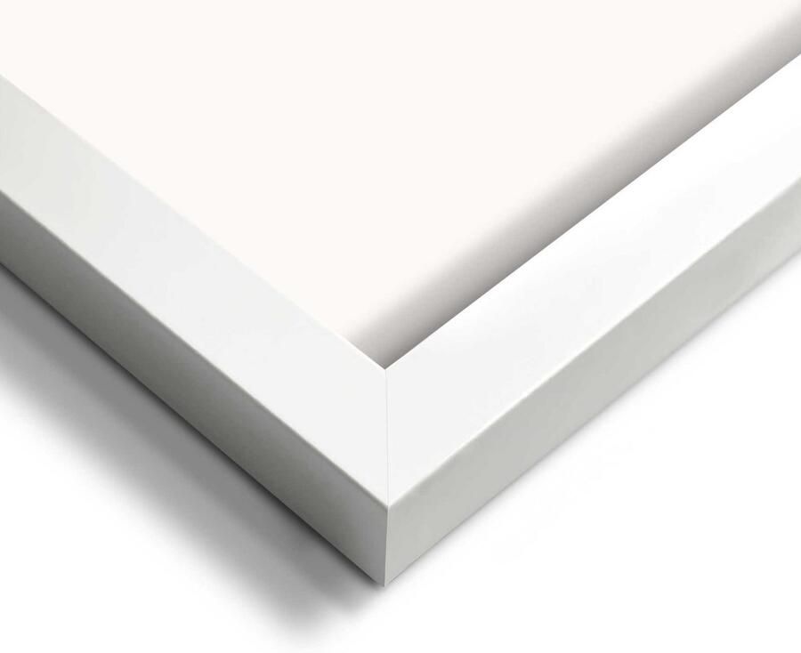 Reinders Matisse La Japonaise Schilderij 70x50cm Wit - Foto 2