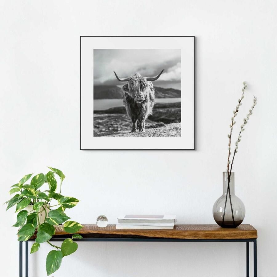 Reinders! Artprint Slim Frame Black 50x50 Highland Cow