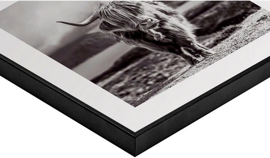 Reinders! Artprint Slim Frame Black 50x50 Highland Cow - Foto 5