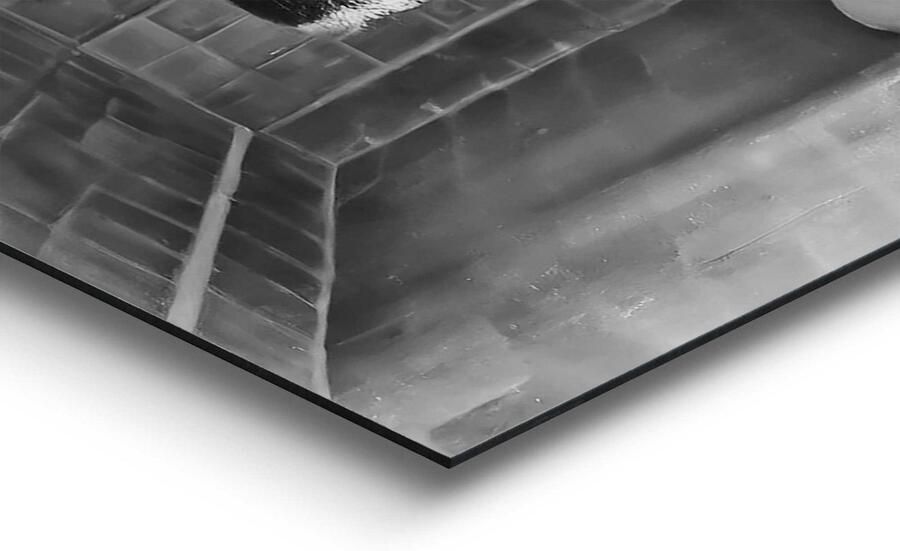 Reinders! Decoratief paneel Highlander toilet - Foto 3