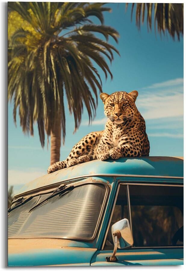 Reinders! Decoratief paneel Oldtimer Safari