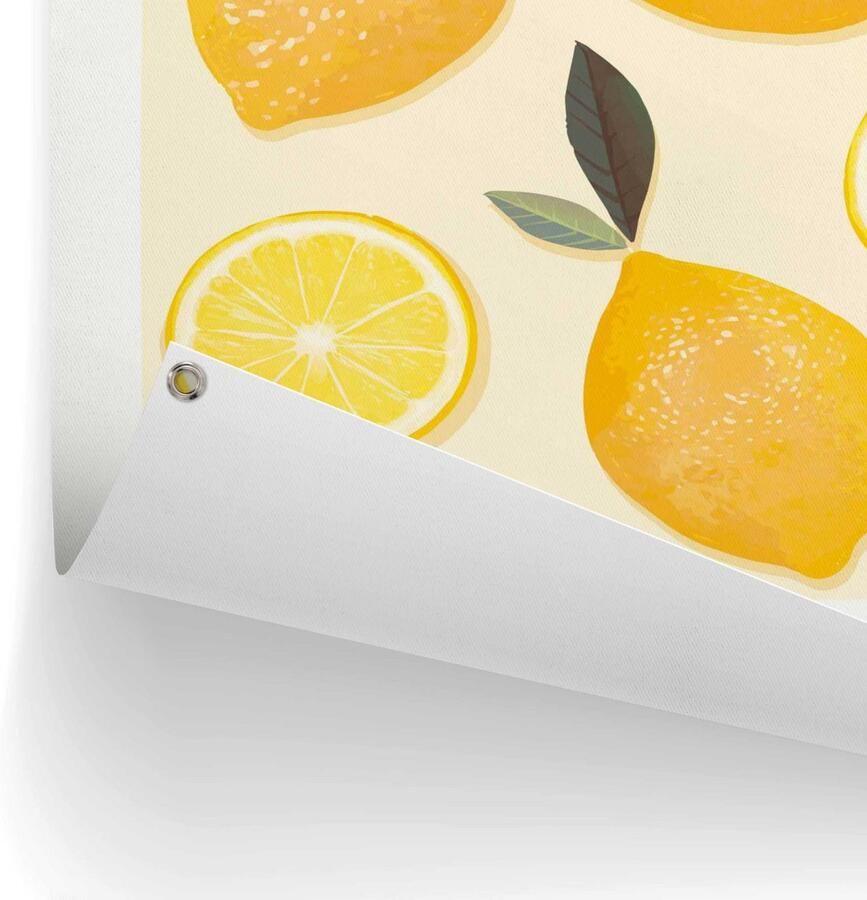 Reinders! Poster Citroenen Outdoor voor tuin of balkon