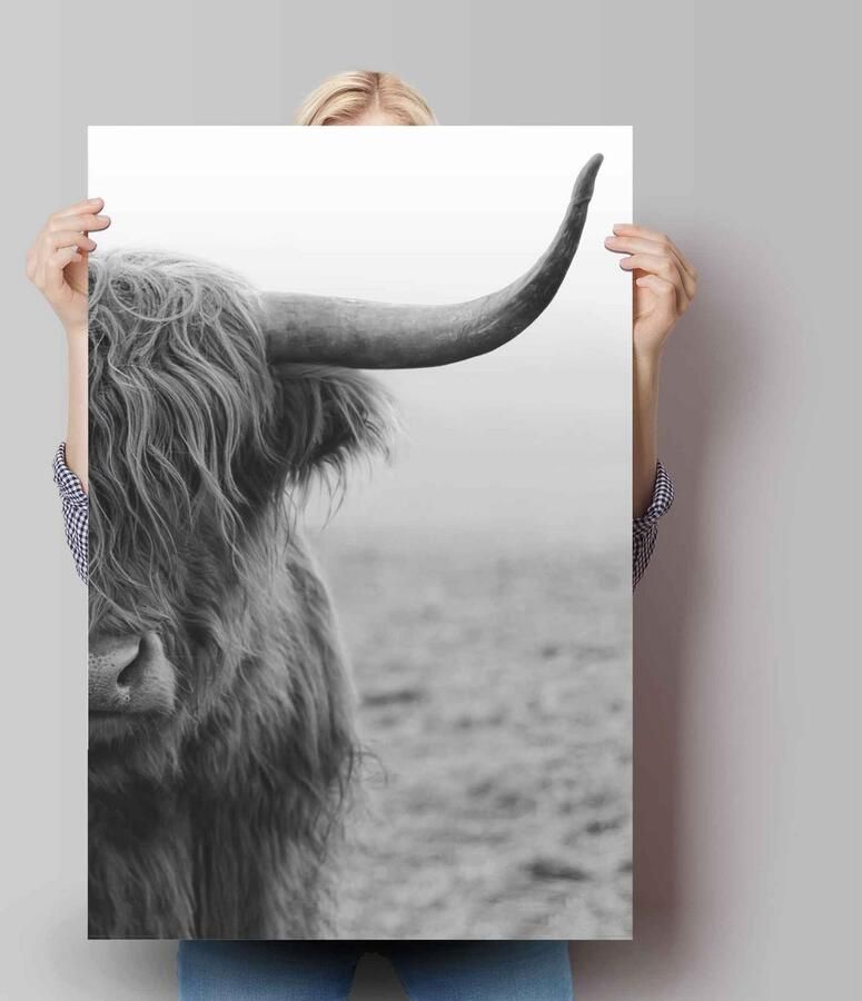 Reinders! Poster Highlander stier - Foto 2