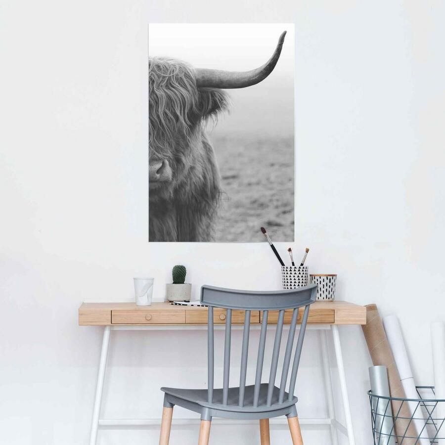 Reinders! Poster Highlander stier - Foto 2