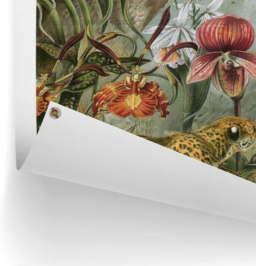 Reinders! Poster Jungle bloemen Outdoor voor tuin of balkon - Foto 2