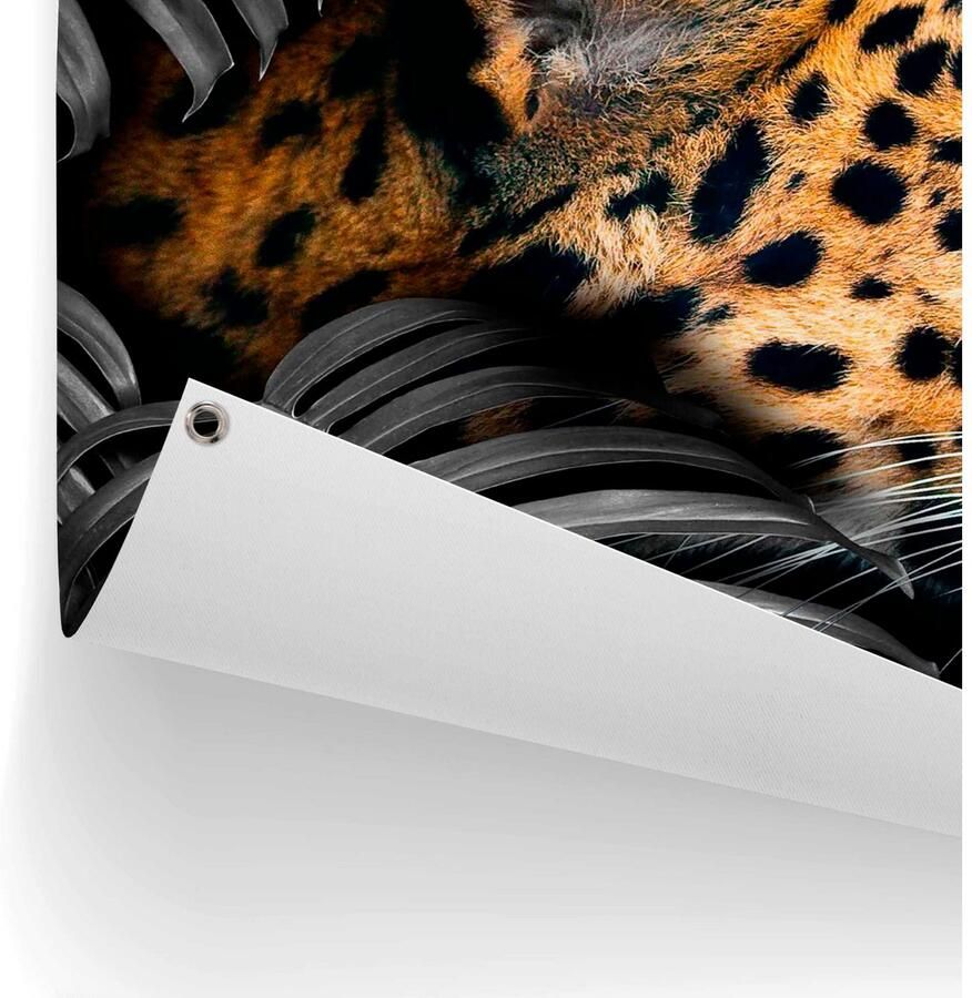 Reinders! Poster Leopard - Foto 2