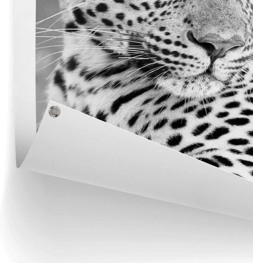 Reinders! Poster Leopard Outdoor voor tuin of balkon