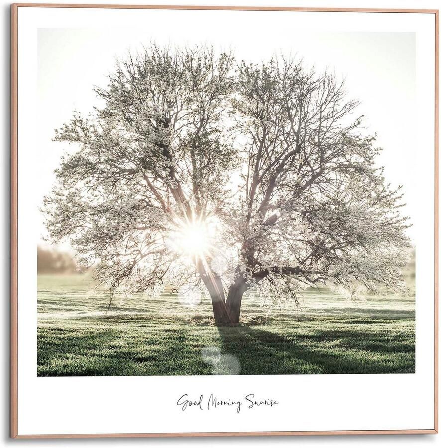 Home24 Ingelijste afbeelding Ochtendzon Boom Reinders - Foto 2