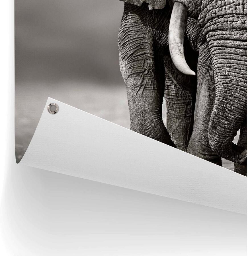 Reinders! Poster Olifant - Foto 2