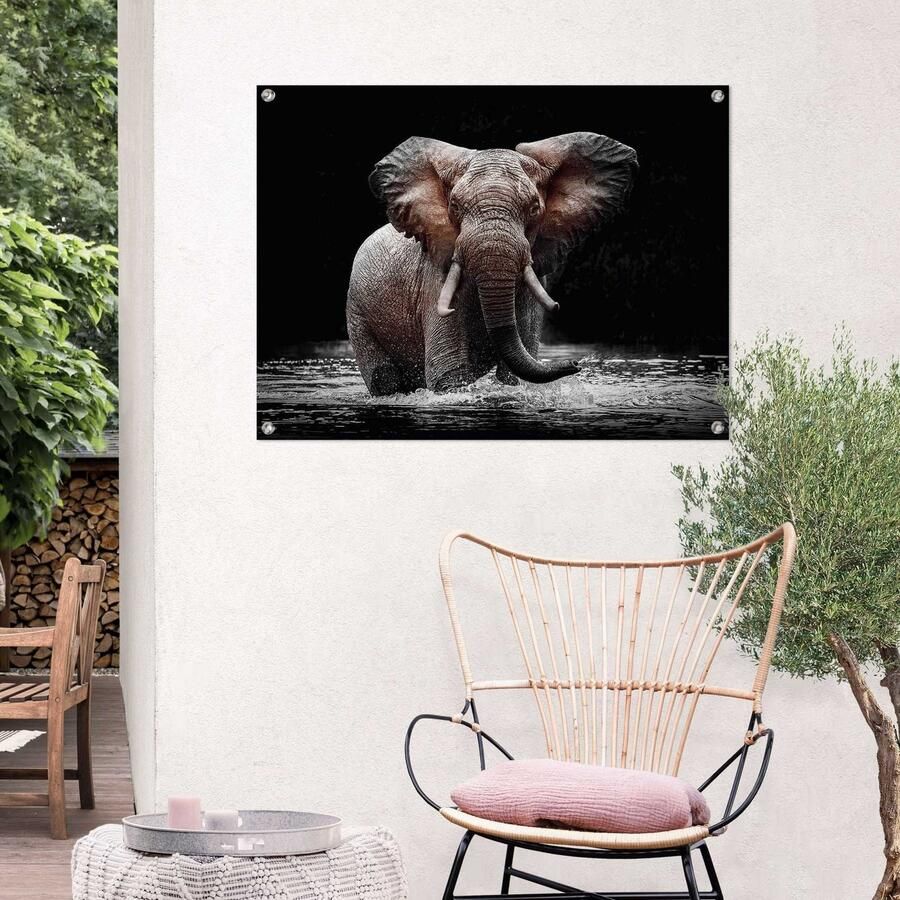 Reinders! Poster Olifant Outdoor voor tuin of balkon - Foto 2
