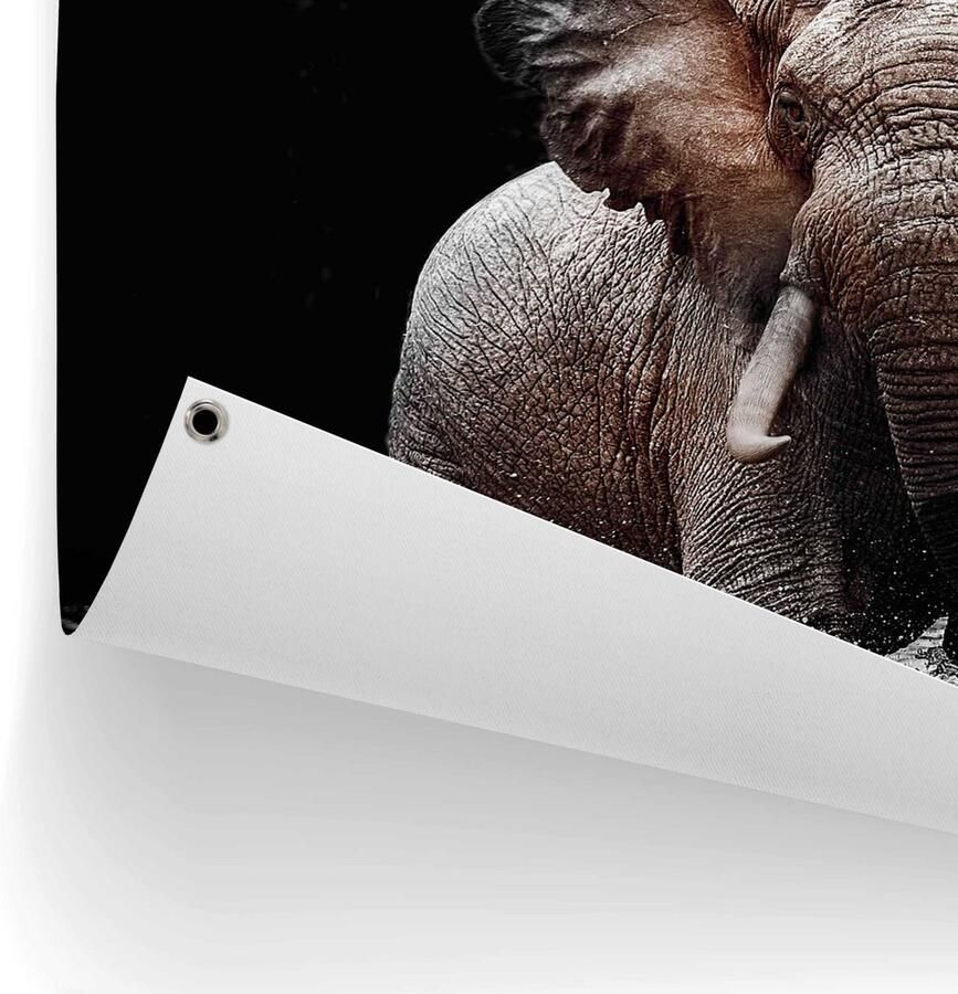 Reinders! Poster Olifant Outdoor voor tuin of balkon - Foto 3